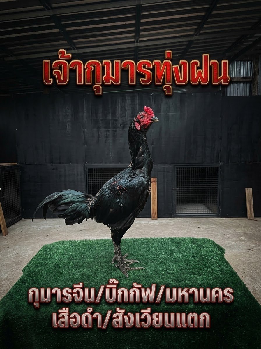 กุมารทุ่งฝน