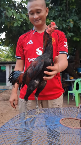 กุมารแดง
