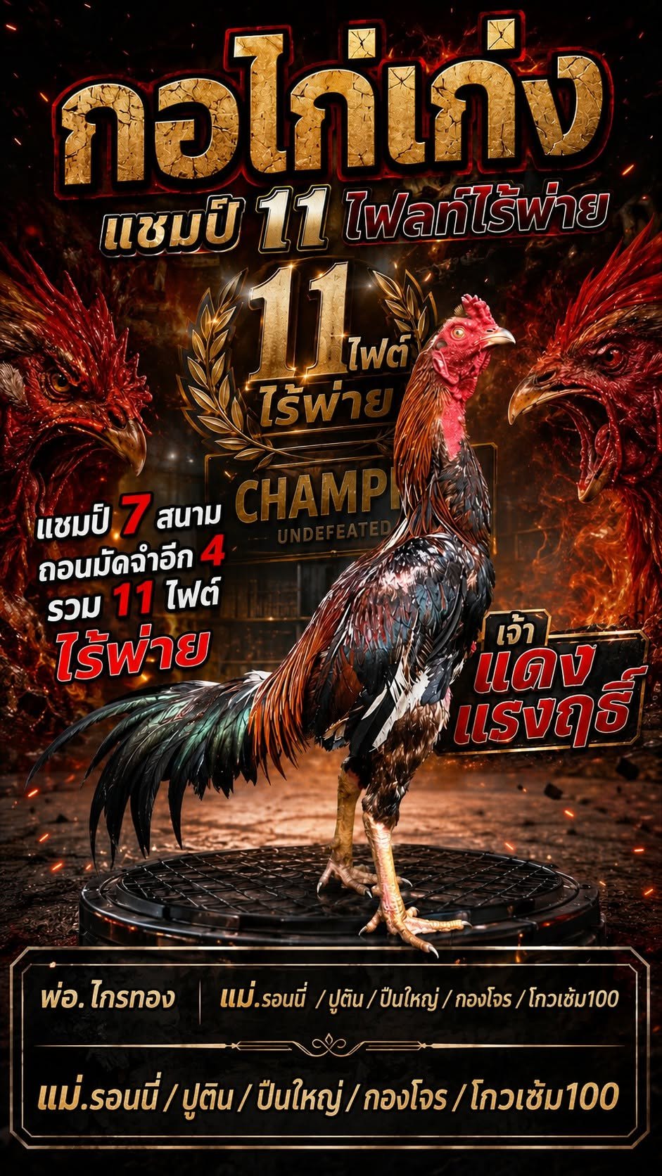 กอไก่เก่งฟาร์ม | จำหน่ายไก่ชน พ่อพันธุ์แม่พันธุ์ และลูกไก่ชน